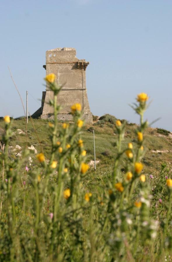 Sul Mare E Sotto Le Stelle Di Roccazzelle-Manfria Διαμέρισμα Gela Εξωτερικό φωτογραφία